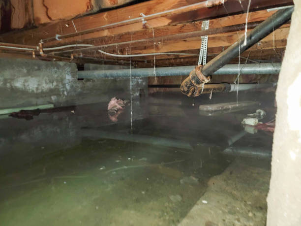 Best Ceiling water damage repair  in Robersonville, NC