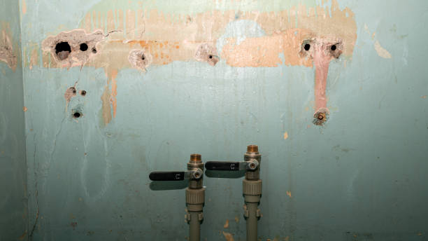 Best Commercial water damage restoration  in Robersonville, NC
