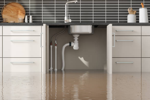 Best Flooded house restoration  in Robersonville, NC
