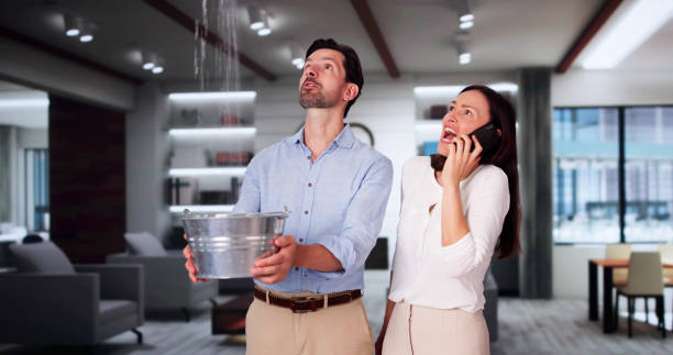 Best Basement water damage restoration  in Robersonville, NC