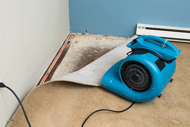 Best Emergency water damage restoration  in Robersonville, NC